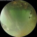 ./images/calvert/underwater/20260810/underwater20260810_072501M.jpg