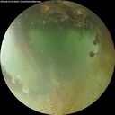 ./images/calvert/underwater/20260810/underwater20260810_073001M.jpg