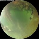 ./images/calvert/underwater/20260810/underwater20260810_073501M.jpg