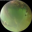 ./images/calvert/underwater/20260810/underwater20260810_074001M.jpg