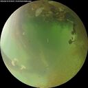 ./images/calvert/underwater/20260810/underwater20260810_074501M.jpg