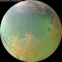 ./images/calvert/underwater/20260810/underwater20260810_080501M.jpg
