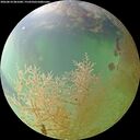 ./images/calvert/underwater/20260810/underwater20260810_081001M.jpg