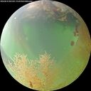 ./images/calvert/underwater/20260810/underwater20260810_081501M.jpg