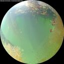 ./images/calvert/underwater/20260810/underwater20260810_091001M.jpg