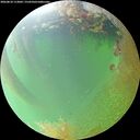 ./images/calvert/underwater/20260810/underwater20260810_113002M.jpg