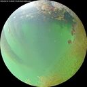 ./images/calvert/underwater/20260810/underwater20260810_114001M.jpg
