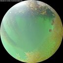 ./images/calvert/underwater/20260810/underwater20260810_114501M.jpg
