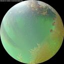 ./images/calvert/underwater/20260810/underwater20260810_120001M.jpg