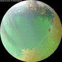 ./images/calvert/underwater/20260810/underwater20260810_121501M.jpg