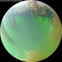 ./images/calvert/underwater/20260810/underwater20260810_123002M.jpg