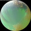 ./images/calvert/underwater/20260810/underwater20260810_123501M.jpg