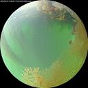 ./images/calvert/underwater/20260810/underwater20260810_124001M.jpg