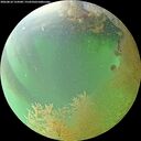 ./images/calvert/underwater/20260810/underwater20260810_124501M.jpg