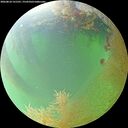 ./images/calvert/underwater/20260810/underwater20260810_131501M.jpg