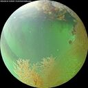 ./images/calvert/underwater/20260810/underwater20260810_133001M.jpg