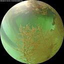 ./images/calvert/underwater/20260810/underwater20260810_141501M.jpg
