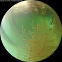 ./images/calvert/underwater/20260810/underwater20260810_142001M.jpg