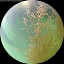 ./images/calvert/underwater/20260810/underwater20260810_143001M.jpg