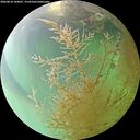 ./images/calvert/underwater/20260810/underwater20260810_144001M.jpg