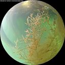 ./images/calvert/underwater/20260810/underwater20260810_144502M.jpg