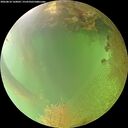 ./images/calvert/underwater/20260810/underwater20260810_160001M.jpg