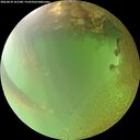 ./images/calvert/underwater/20260810/underwater20260810_161501M.jpg