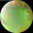 ./images/calvert/underwater/20260810/underwater20260810_165501M.jpg