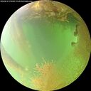 ./images/calvert/underwater/20260810/underwater20260810_170501M.jpg