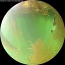 ./images/calvert/underwater/20260810/underwater20260810_171001M.jpg