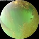 ./images/calvert/underwater/20260810/underwater20260810_171502M.jpg