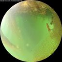 ./images/calvert/underwater/20260810/underwater20260810_172501M.jpg