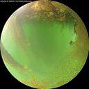 ./images/calvert/underwater/20260810/underwater20260810_180501M.jpg
