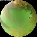 ./images/calvert/underwater/20260810/underwater20260810_181502M.jpg