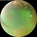 ./images/calvert/underwater/20260810/underwater20260810_183501M.jpg