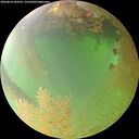 ./images/calvert/underwater/20260810/underwater20260810_184501M.jpg