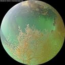 ./images/calvert/underwater/20260810/underwater20260810_190501M.jpg