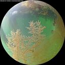 ./images/calvert/underwater/20260810/underwater20260810_195002M.jpg