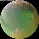 ./images/calvert/underwater/20260810/underwater20260810_202501M.jpg