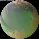 ./images/calvert/underwater/20260810/underwater20260810_204001M.jpg