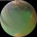 ./images/calvert/underwater/20260810/underwater20260810_204501M.jpg