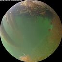 ./images/calvert/underwater/20260810/underwater20260810_205501M.jpg