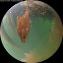./images/calvert/underwater/20260810/underwater20260810_210001M.jpg