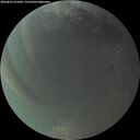 ./images/calvert/underwater/20260810/underwater20260810_213501M.jpg