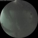 ./images/calvert/underwater/20260811/underwater20260811_055001M.jpg