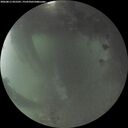 ./images/calvert/underwater/20260811/underwater20260811_055501M.jpg