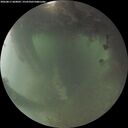 ./images/calvert/underwater/20260811/underwater20260811_060001M.jpg