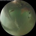 ./images/calvert/underwater/20260811/underwater20260811_061001M.jpg