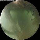 ./images/calvert/underwater/20260811/underwater20260811_061501M.jpg