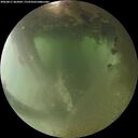 ./images/calvert/underwater/20260811/underwater20260811_062002M.jpg